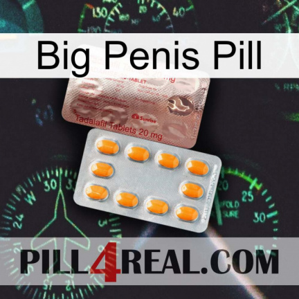 Big Penis Pill new13